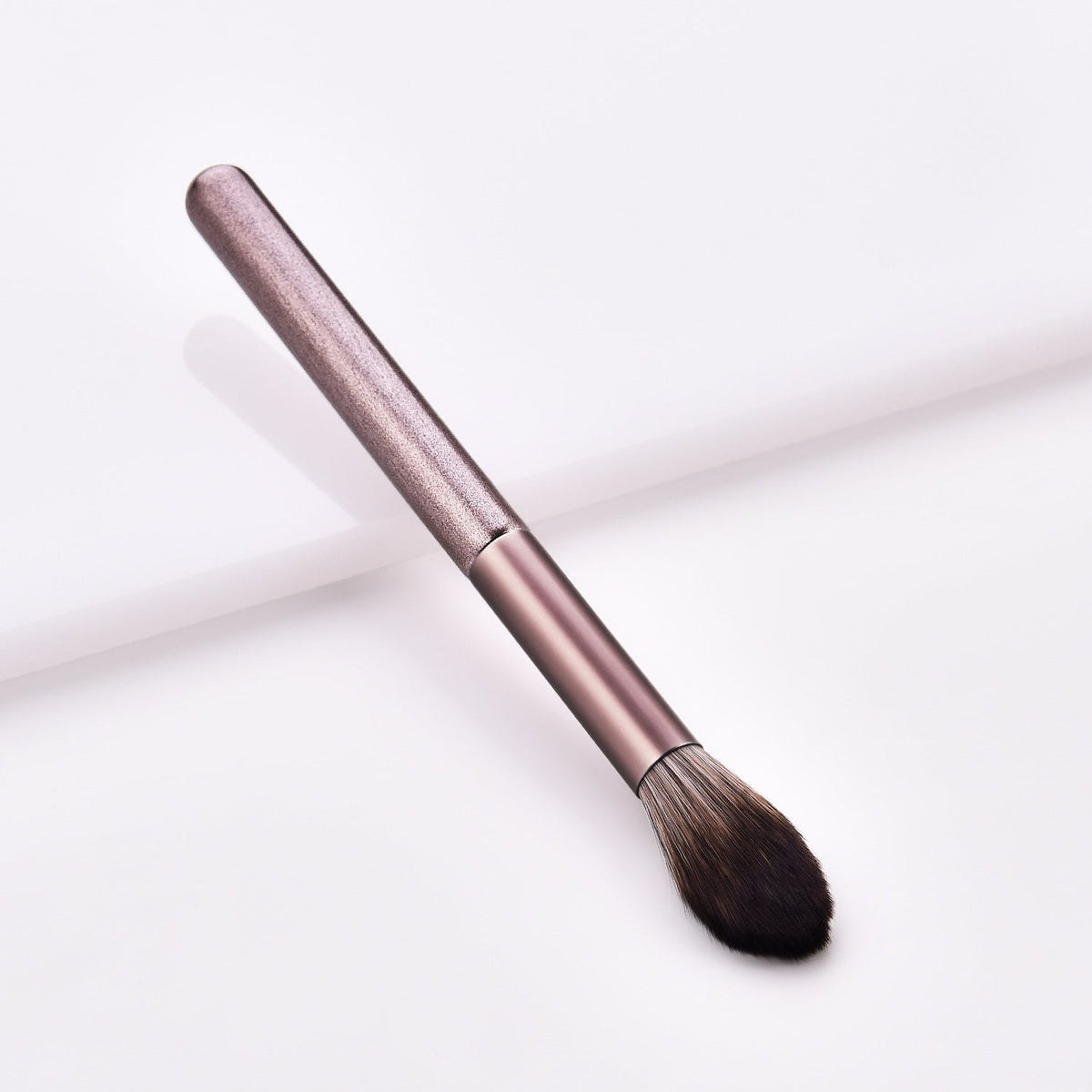 Makeup Brushes Set (12 Pieces)