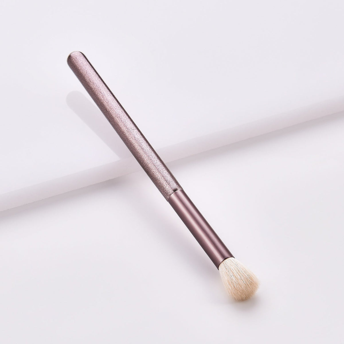 Makeup Brushes Set (12 Pieces)