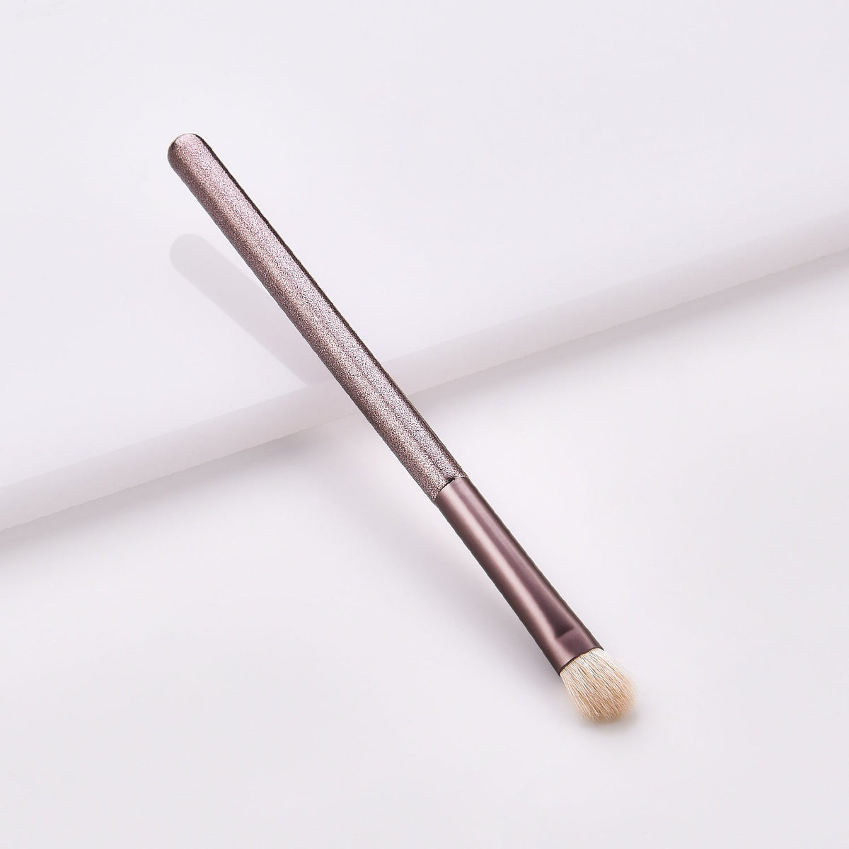 Makeup Brushes Set (12 Pieces)