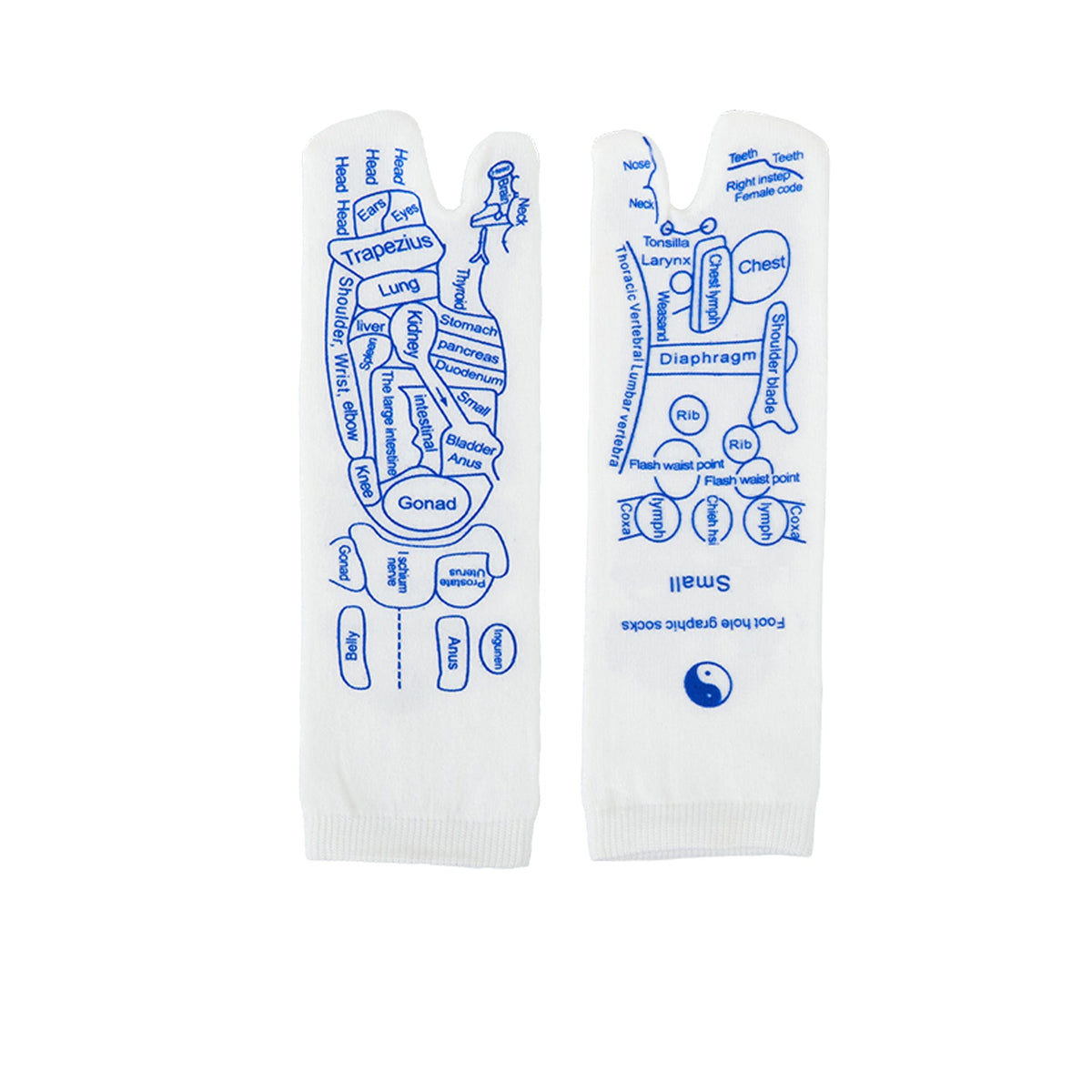 Essential™ Reflexology Chart Socks